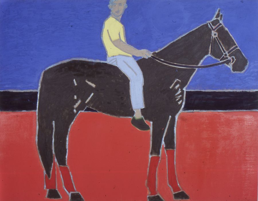 A man riding a horse on a red beach.