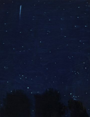 A starry night with a shooting star.